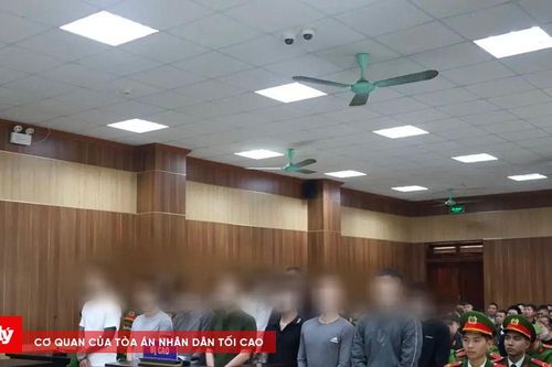 Khống chế phóng viên, khai thác đất vượt phép, lĩnh 45 tháng tù