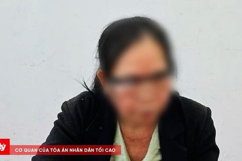 Khởi tố người phụ nữ đăng thông tin sai sự thật, xúc phạm cơ quan tư pháp