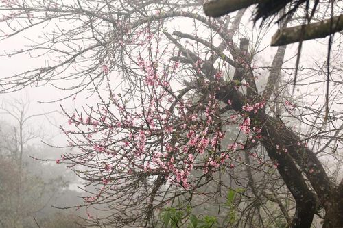 Thời tiết Nghệ An ngày 11/2: Trời rét về đêm và sáng sớm