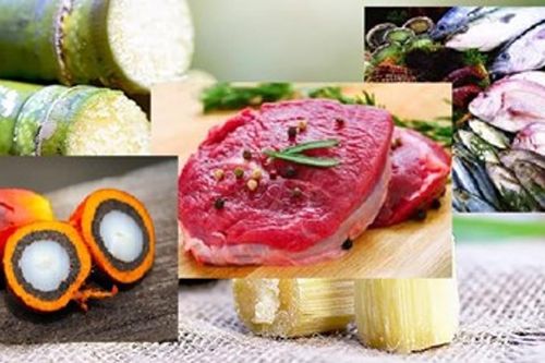 Thị trường thực phẩm tháng 10/2025: Giá dầu thực vật biến động, cá tra tăng trưởng tại Brazil