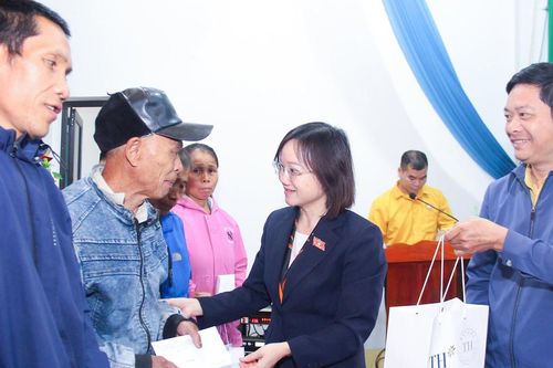 Đại biểu Quốc hội tặng quà Tết đơn vị lực lượng vũ trang, người nghèo tại các địa phương