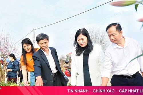 Độc đáo những phiên chợ xuân ngày Tết