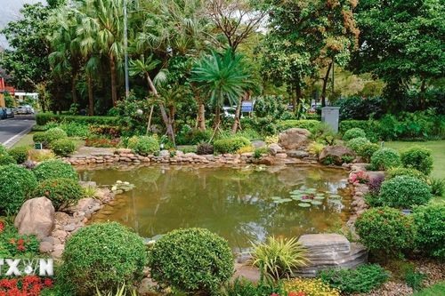 Nhà ga Quốc tế Đà Nẵng vận hành hồ cá sinh thái từ nước thải tái chế