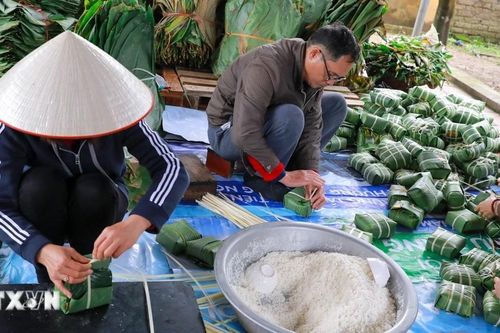 Làng bánh chưng Tranh Khúc vào vụ Tết Bính Ngọ