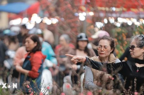 Chợ hoa Hàng Lược nhộn nhịp những ngày giáp Tết Bính Ngọ 2026