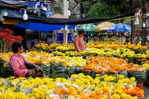 Cần Thơ khai mạc chợ hoa Xuân quy mô gần 600 gian hàng