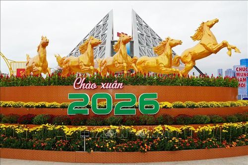 Rực rỡ sắc xuân, rộn ràng đón Tết Bính Ngọ 2026