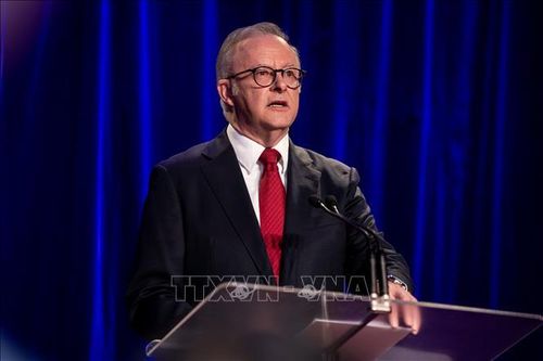 Australia đề nghị Israel xử lý hình sự vụ tấn công đoàn xe cứu trợ tại Gaza