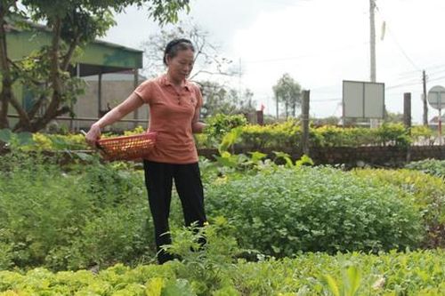 Người dân vùng lũ Hà Tĩnh ổn định cuộc sống, sẵn sàng đón Tết