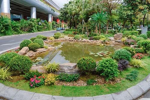 Nhà ga quốc tế sân bay Đà Nẵng sử dụng nước thải tái chế nuôi cá cảnh