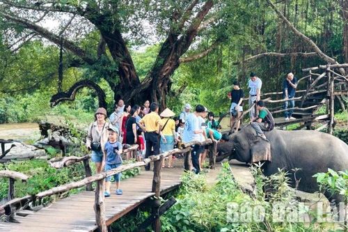 Du lịch Đắk Lắk vào mùa cao điểm Tết, sẵn sàng bứt tốc đón du khách