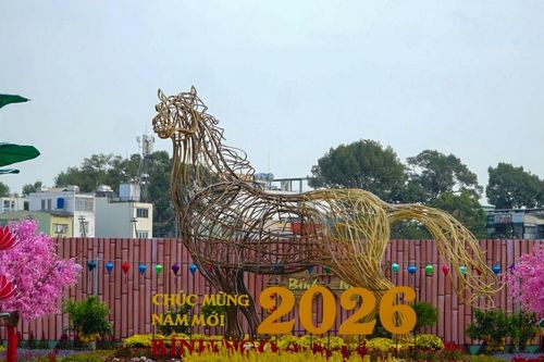 Công viên hoa xuân 152 Trần Phú: Thêm điểm check-in cho người dân TP.HCM trong dịp đầu năm mới