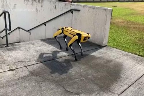 Triển khai 'chó robot' hỗ trợ an ninh World Cup 2026