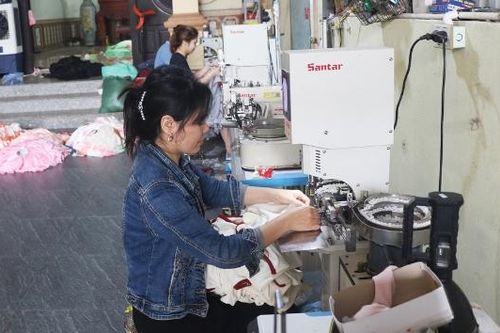 Chi bộ thôn Ngọc Tỉnh: Nhiều sáng tạo trong lãnh đạo phát triển kinh tế - xã hội