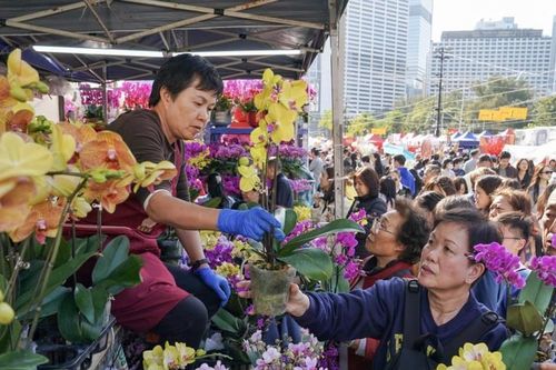 Sắc xuân tỏa khắp muôn nơi