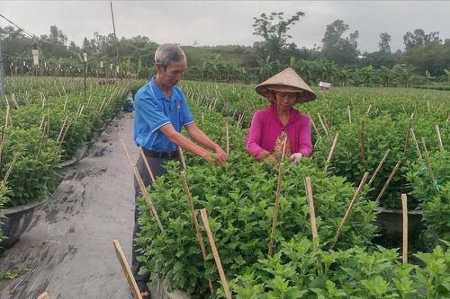 Giải ngân vốn tín dụng chính sách phục vụ sản xuất ngay từ đầu năm 2026