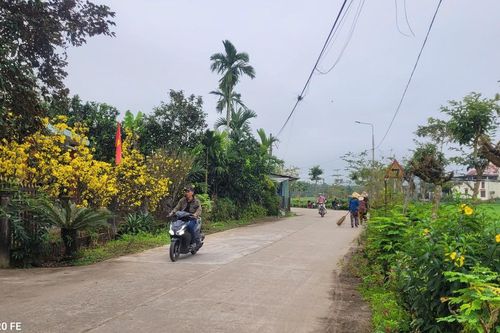 Mùa xuân chái bếp thơm lừng