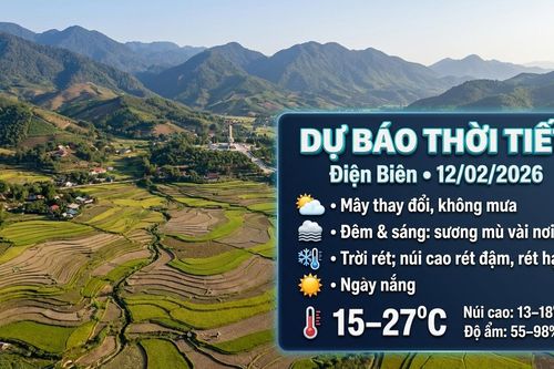 Bản tin Dự báo thời tiết ngày 12/2/2026