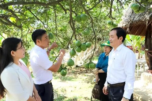 Xây dựng vùng nông thôn đáng sống