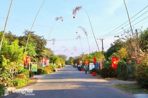 Dựng nêu ngày Tết: Nét đẹp truyền thống của người dân ấp Hiếu Liêm