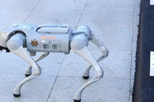 Mexico sẽ triển khai 'chó robot' hỗ trợ an ninh cho World Cup 2026