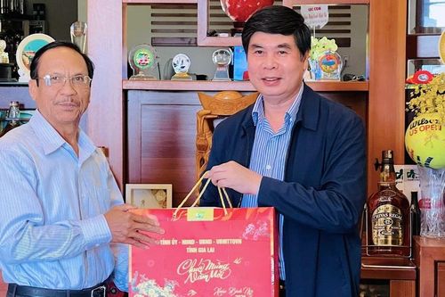 Phó Chủ tịch UBND tỉnh Lâm Hải Giang thăm, tặng quà nguyên lãnh đạo tỉnh và người có công