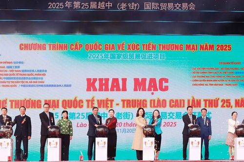 Khi xúc tiến thương mại đi vào thực chất, mở rộng nhịp giao thương biên giới