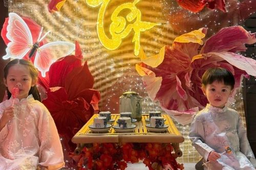 Đàm Thu Trang trang hoàng biệt thự đón Tết 2026: Bé Suchin và Sutin rạng rỡ diện áo dài
