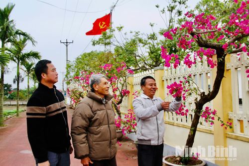 Xuân về với 'biển mặn, núi xanh'