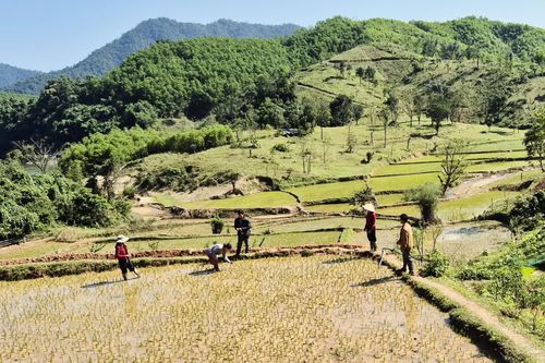 Làm theo Bác từ những việc thiết thực