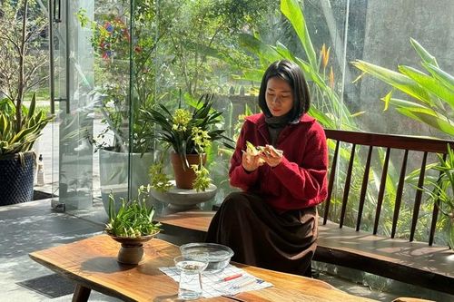 Chờ thủy tiên nở đúng giao thừa
