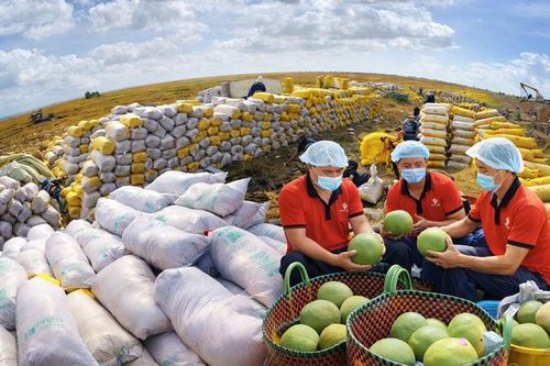 Trung Quốc siết khai báo 2.600 sản phẩm nông nghiệp