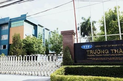 Kỹ nghệ Gỗ Trường Thành (TTF): Có tân Tổng giám đốc, lỗ lũy kế vượt 3.200 tỷ đồng