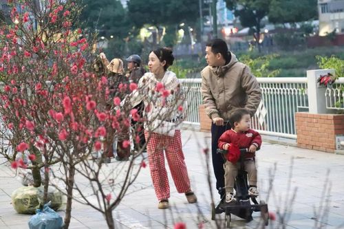 Chợ hoa xuân - nét đẹp văn hóa những ngày giáp Tết