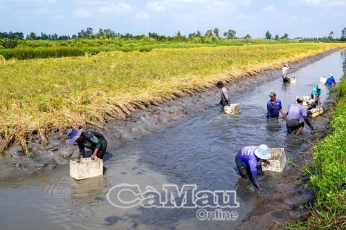Xây dựng kinh tế nông nghiệp hiện đại