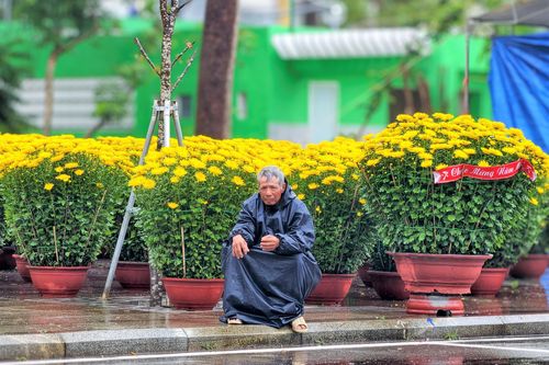 Hoa Tết ở Quy Nhơn đông người bán vắng người mua, tiểu thương đội mưa chờ khách