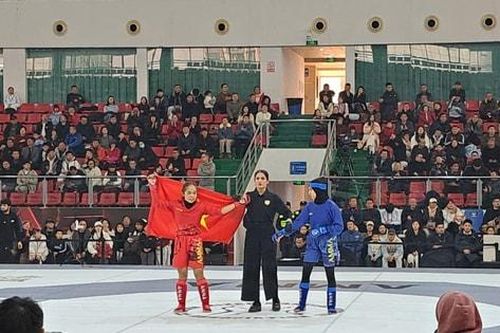 Võ thuật tổng hợp Việt Nam: Quyết tâm vươn ra đấu trường châu lục