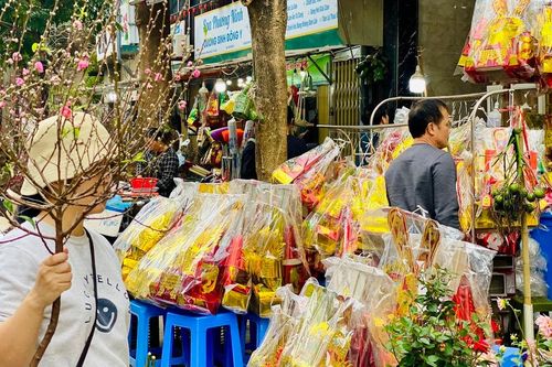 Đào mini giá vài chục nghìn đồng/cành hút khách chơi dịp Tết 2026