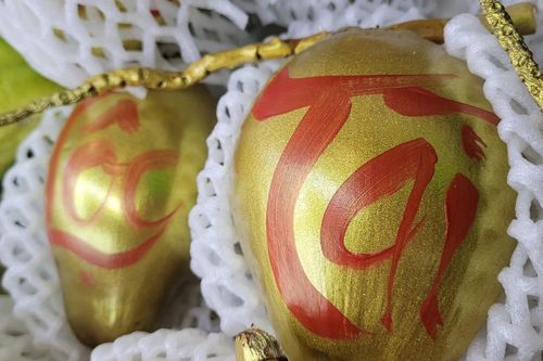Loại quả dát vàng chỉ bán ngày Tết vì quan niệm mang 'lộc', 'tài', giá đắt đỏ vẫn 'cháy' hàng