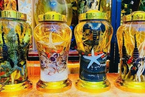 Hiểm họa từ thú vui… rượu độc