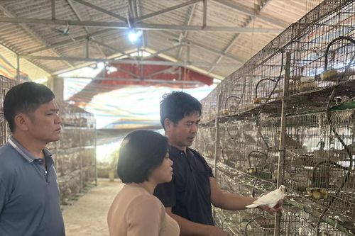 Lạng Sơn: Lồng ghép hiệu quả các nguồn lực trong giảm nghèo