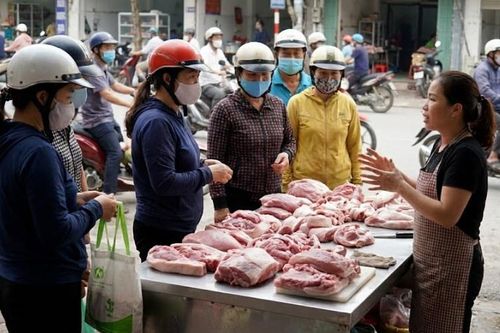Giá heo hơi hôm nay 12.2: Tăng nhẹ cận Tết, miền Trung dẫn đầu