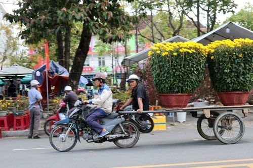 Mưu sinh theo 'chuyến Xuân' - Nghề chở hoa Tết vào mùa ở Quảng Ngãi