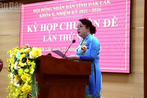 Đắk Lắk thông qua chủ trương hỗ trợ giống cây trồng, vật nuôi, thủy sản để khôi phục sản xuất vùng bị thiệt hại do bão, lũ
