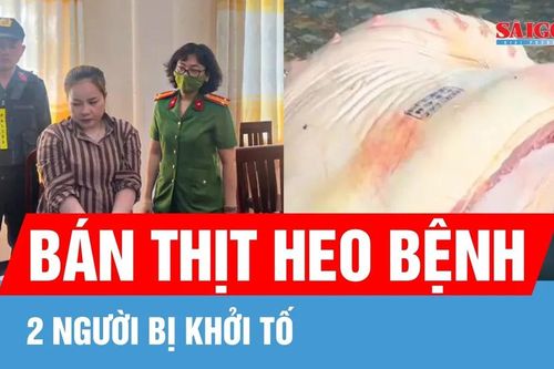 Bắt tạm giam 2 tiểu thương bán thịt heo nhiễm bệnh ra thị trường