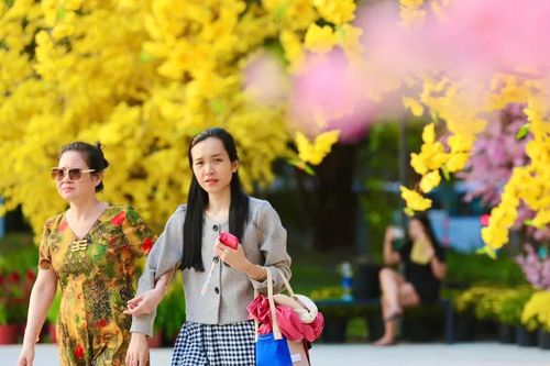 TPHCM gấp rút hoàn thiện mảng xanh công cộng và tiểu cảnh hoa tết