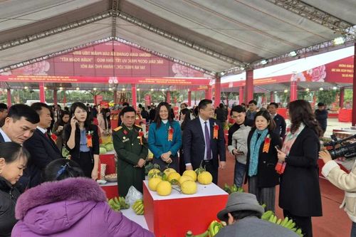 Chợ 'Xuân Đoàn Kết' đông nghịt khách mua sắm