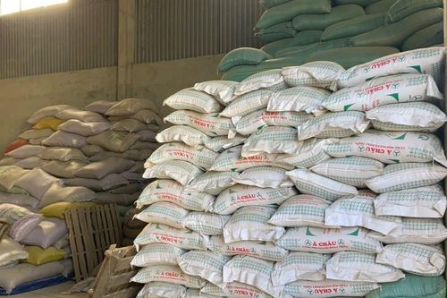 Điều chưa biết về giám đốc cầm đầu đường dây sản xuất hơn 200 tấn lúa giống giả