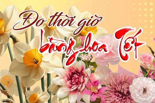 Đo thời giờ bằng hoa Tết