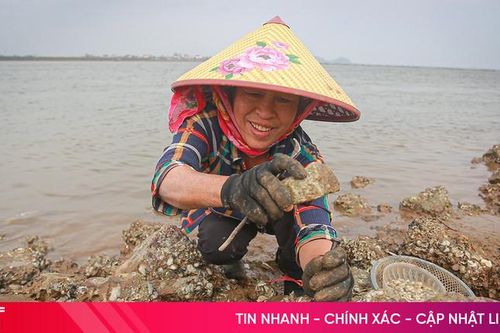 Cuối năm, nhặt 'lộc biển' sắm Tết
